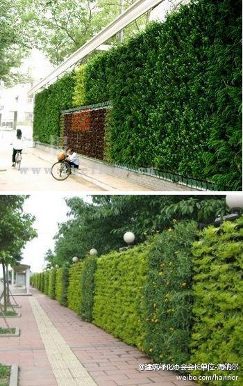 立体绿化墙