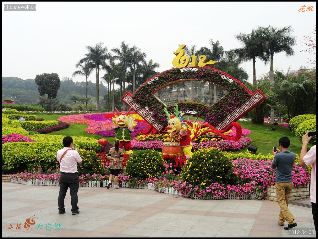 龙年草地花坛布置