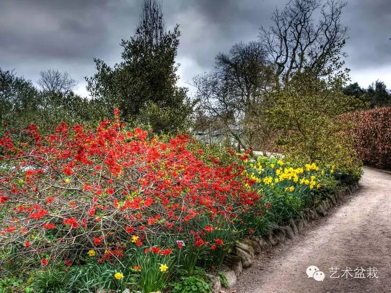 镜头下的花镜实景，搭配学起来