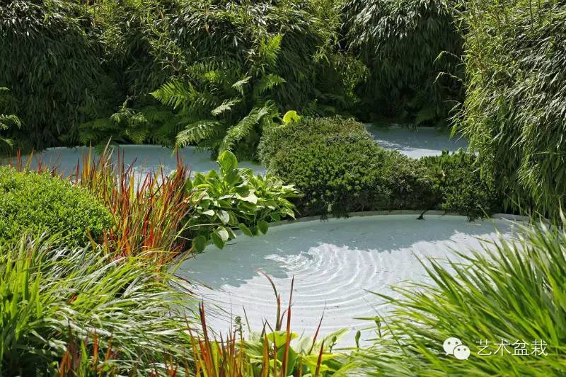 镜头下的花镜实景，搭配学起来