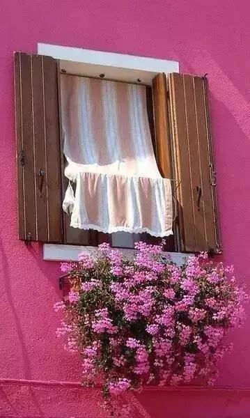 德国之窗 特别为你种的窗之花