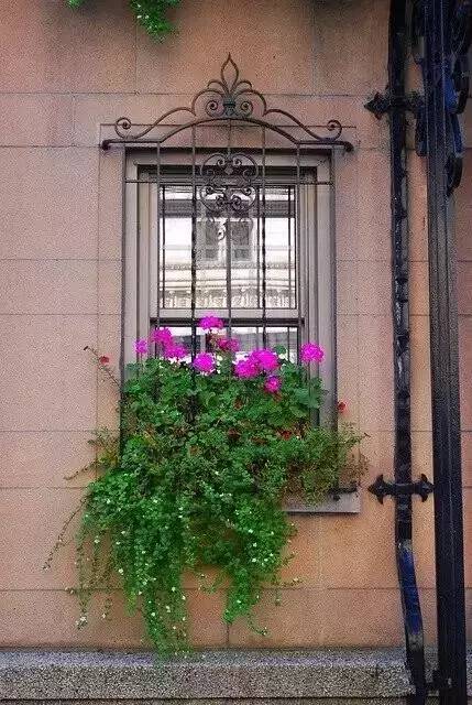 德国之窗 特别为你种的窗之花