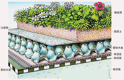 屋顶花园的设计规范及植物搭配