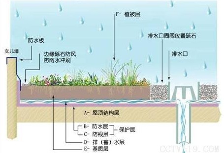 屋顶花园的设计规范及植物搭配