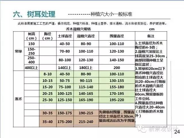 草坪平整与收边衔接