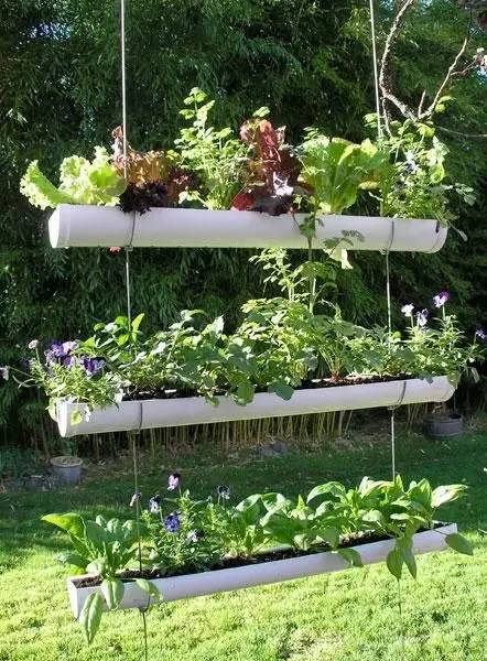  让小庭院和阳台成为垂直精致小花园的方法
