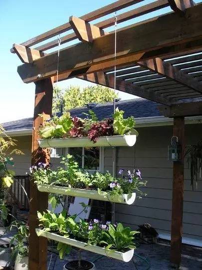  让小庭院和阳台成为垂直精致小花园的方法