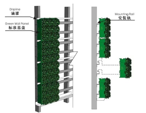 垂直绿化应用案例、方法、植物全解析