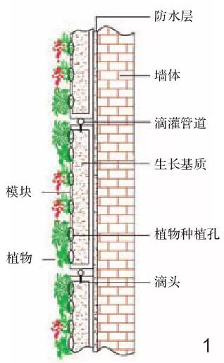 垂直绿化应用案例、方法、植物全解析