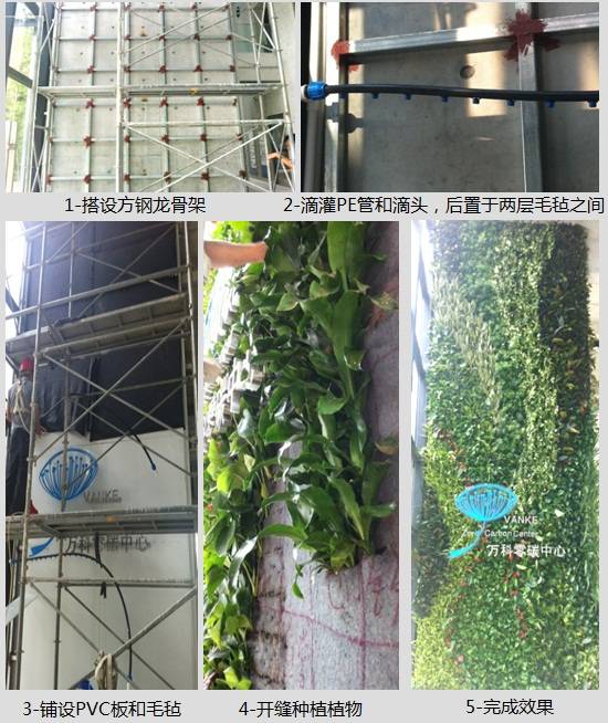 垂直绿化应用案例、方法、植物全解析