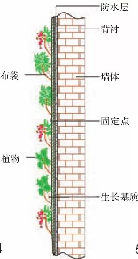 垂直绿化应用案例、方法、植物全解析