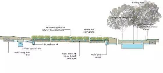 雨水花园 · 海绵城市的“颜值担当”