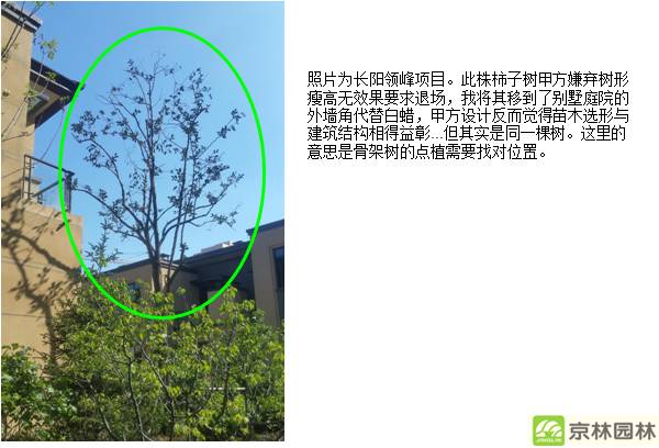 植物配置基础及反季节重点