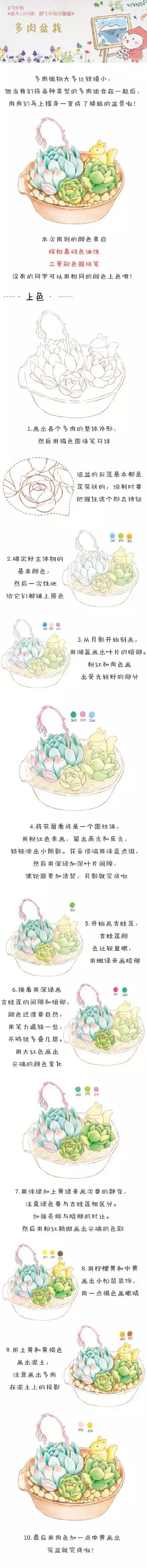 纸上彩铅——《多肉篇》