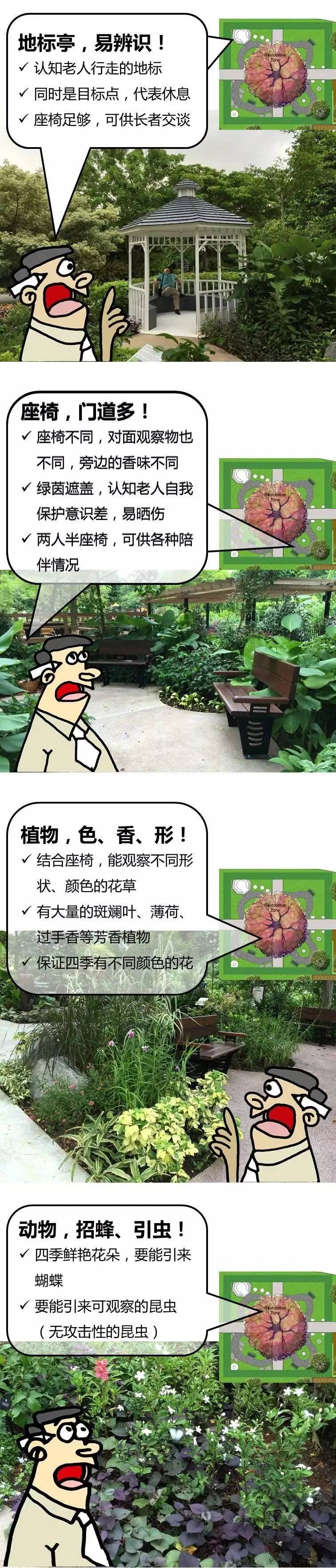 新加坡建了个能治疗老年痴呆的花园