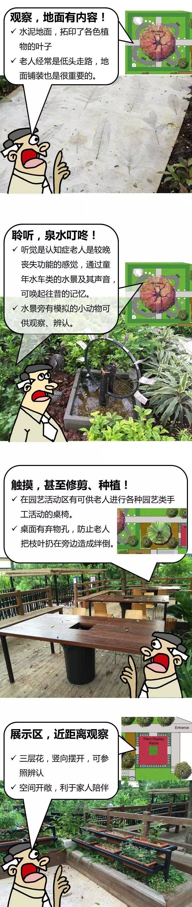 新加坡建了个能治疗老年痴呆的花园
