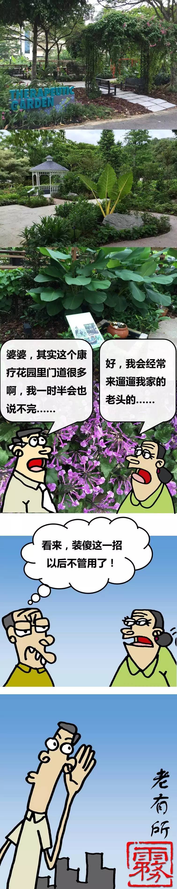 新加坡建了个能治疗老年痴呆的花园