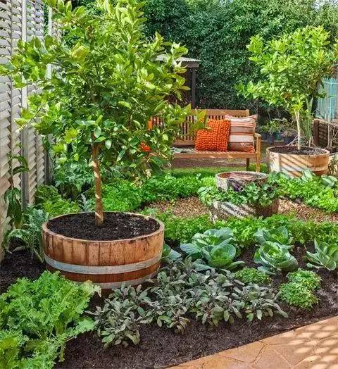 种菜的最高境界，可以让庭院更美