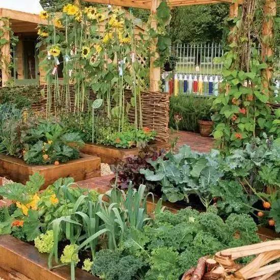 种菜的最高境界，可以让庭院更美