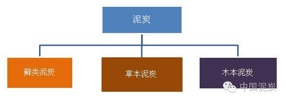 一篇图表读懂中国泥炭产业