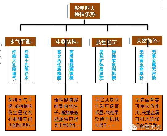 一篇图表读懂中国泥炭产业