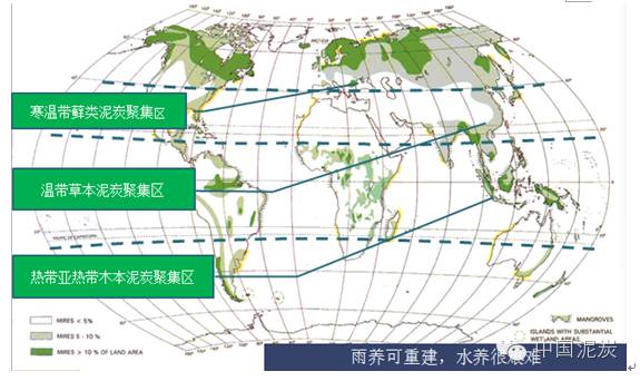 一篇图表读懂中国泥炭产业