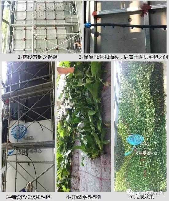 攀爬植物设计四种方式【附案例60图】