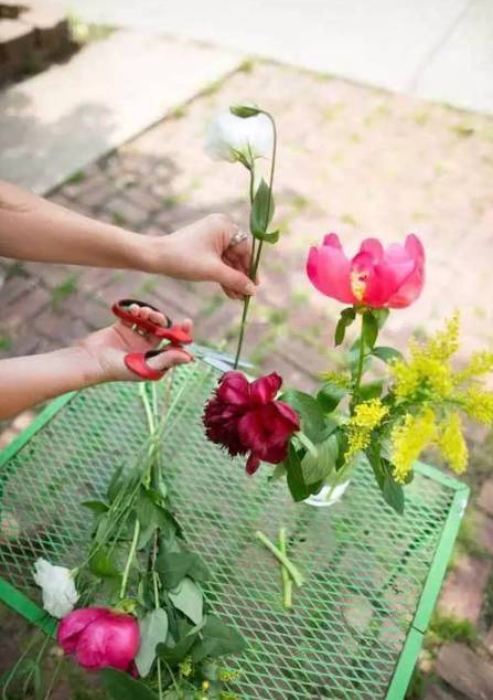 鲜花养护10大基本技巧，让鲜花活的更久