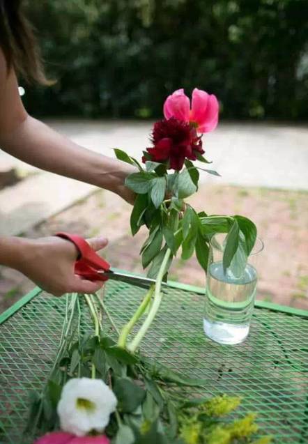 鲜花养护10大基本技巧，让鲜花活的更久