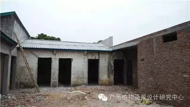 超能奶爸180天为孩子DIY出一个属于自家的农场