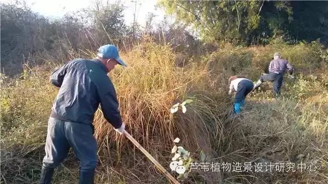 超能奶爸180天为孩子DIY出一个属于自家的农场