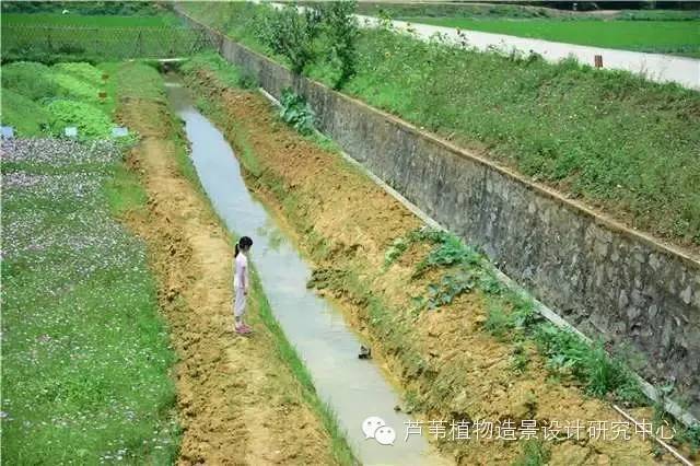 超能奶爸180天为孩子DIY出一个属于自家的农场