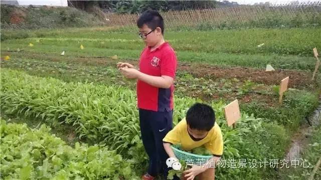 超能奶爸180天为孩子DIY出一个属于自家的农场