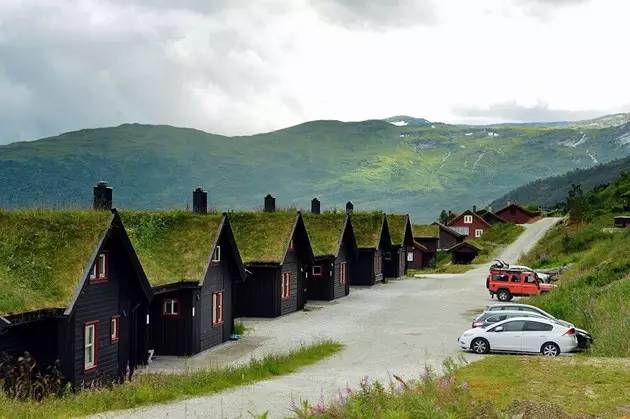 挪威绝美绿色屋顶
