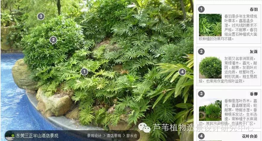 全国各地经典植物配置实景赏析