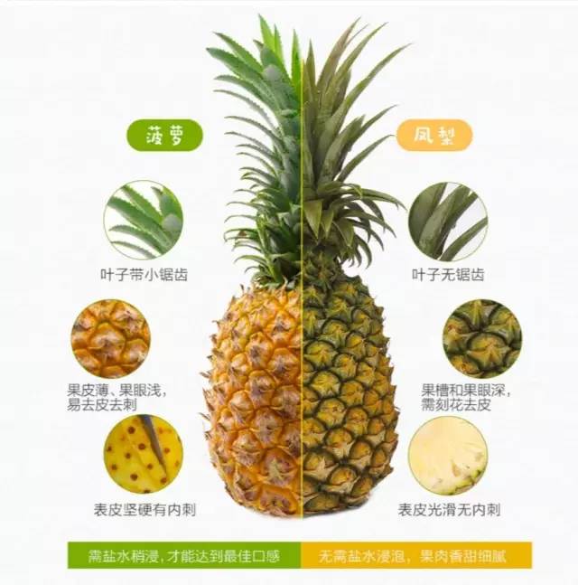 凤梨和菠萝有什么差别？