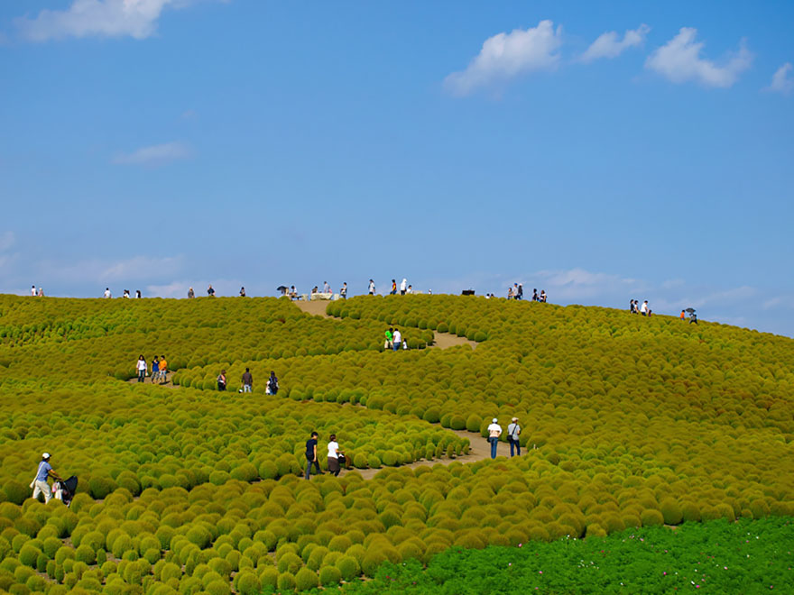 美丽的季节变化景观