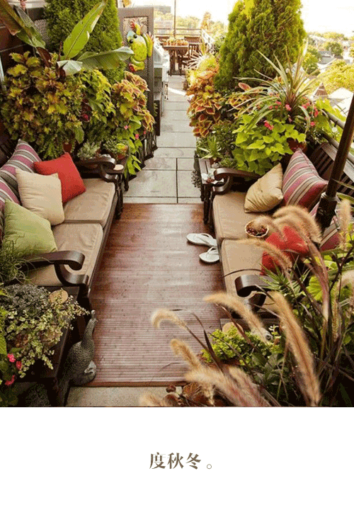 阳台布置成花园到底能是什么样？