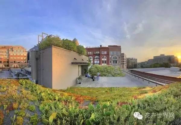 十大全球最棒的绿色屋顶设计