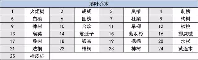 海绵城市建设选用什么苗？