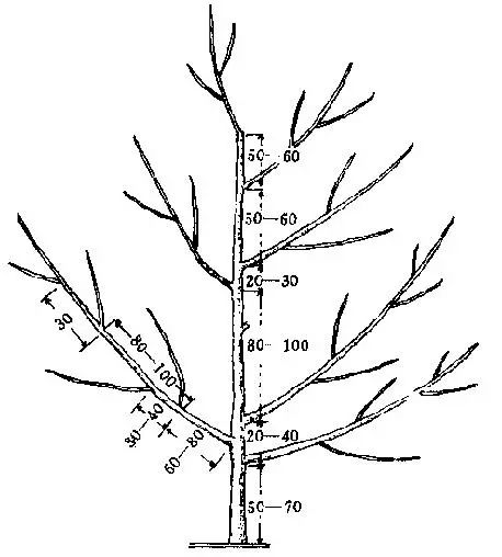 ceecb382ec90055fc2bf97ddc7abf046.jpg