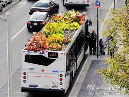 车顶绿化公交