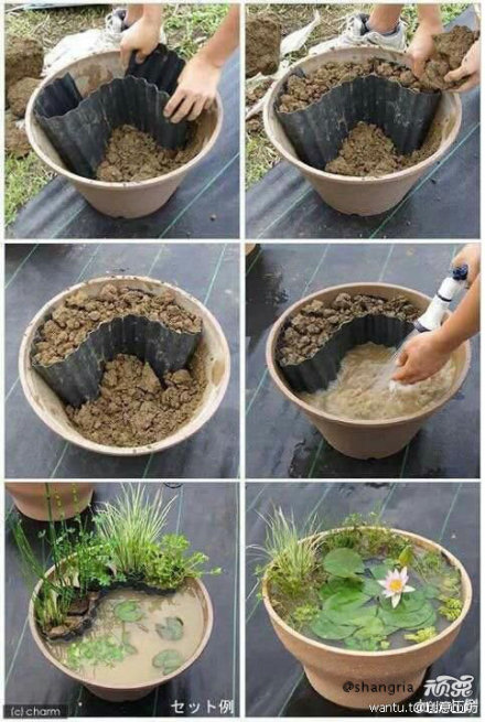 一个花盆的天地