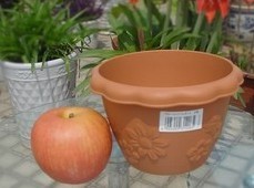 爱丽思 FLOWL圆型花盆