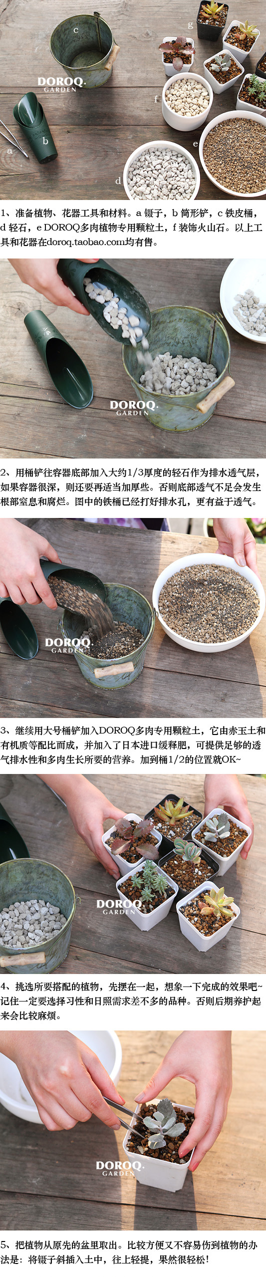 多肉植物寄植详细教程
