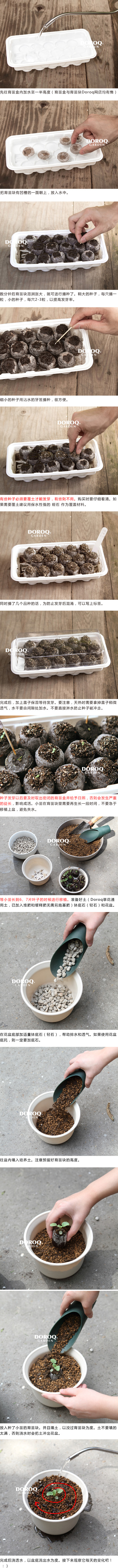 育苗盆和育苗块播种方法