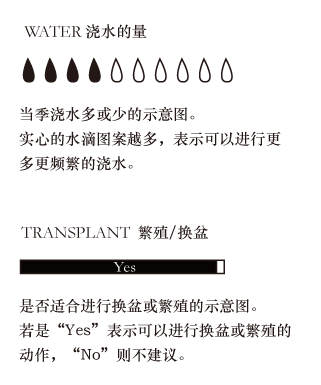 多肉植物的养护方法