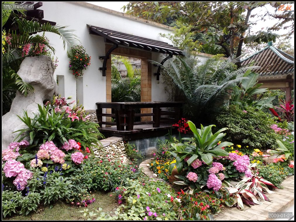 庭院