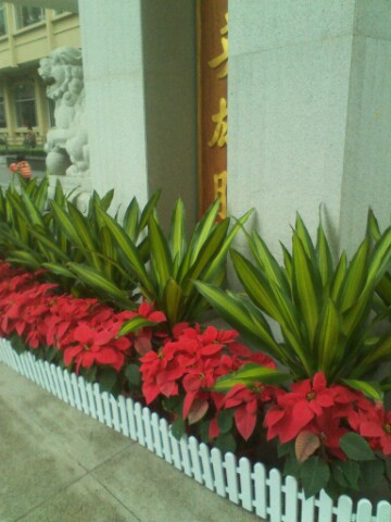 IMG20121201104949.jpg