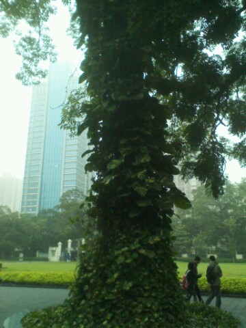 IMG20121201130018.jpg